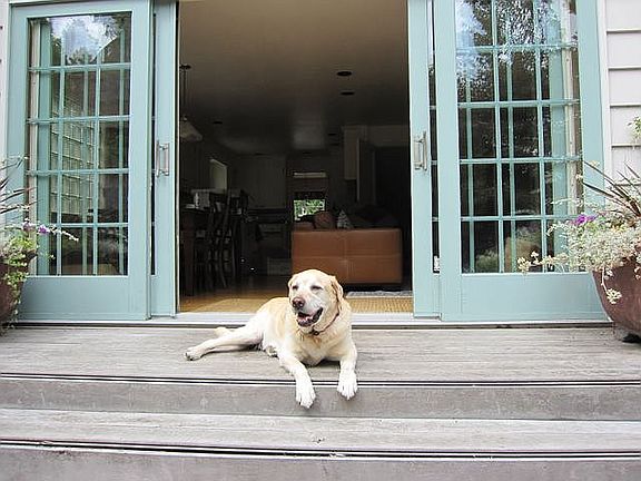 Backyard, happy tenant