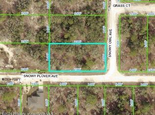 15075 Snowy Owl Ave, Brooksville, FL 34614
