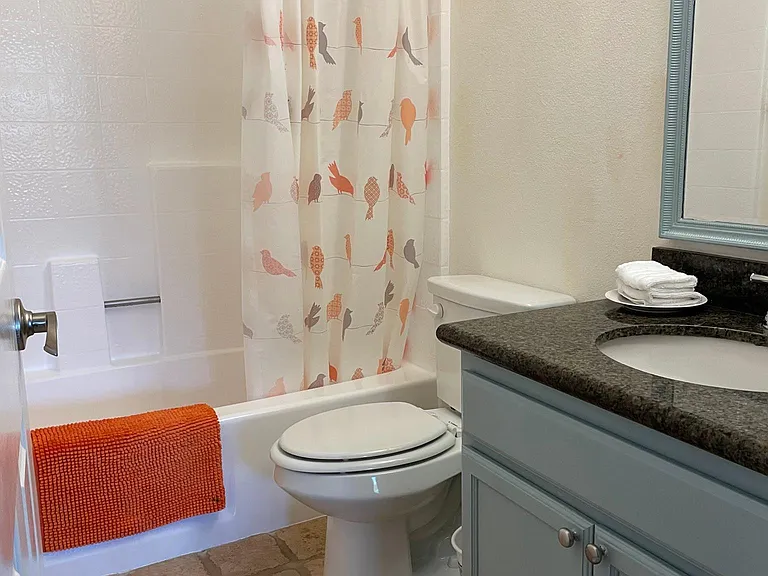 master bedroom bathroom