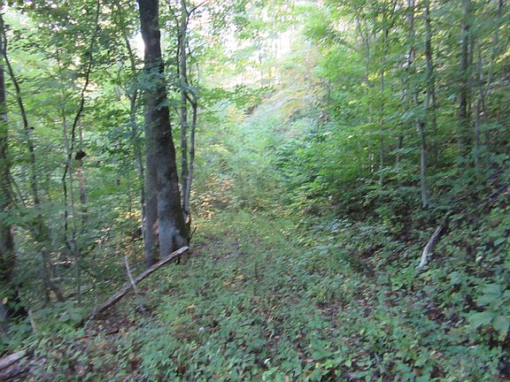 2nd image of Skyland Dr