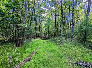 0 Scratch Gravel Rd, Max Meadows, VA 24360