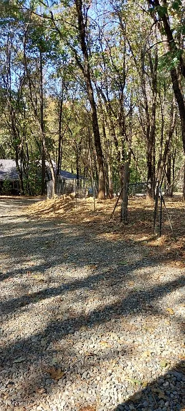 Studio, 1.0 bath, 750 sqft, $600 — Photo 4