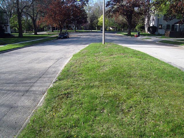 Lovely Boulevard
