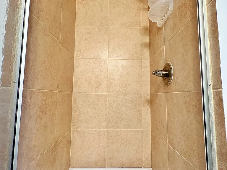 253 Humphrey St #2 — Photo 11