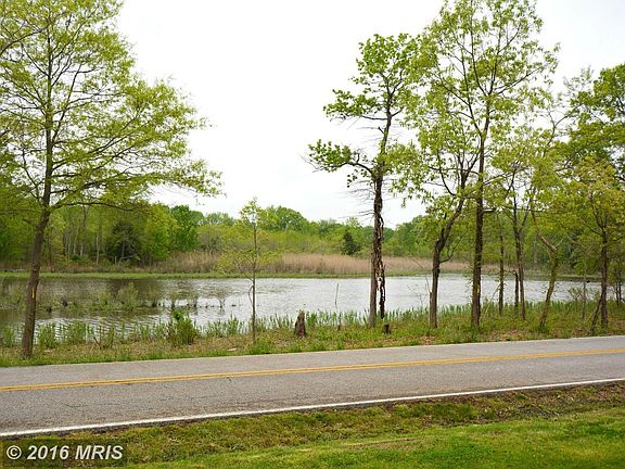 View of Flag Pond from front yard