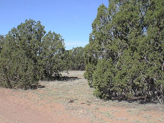 2nd image of 8766 Cibola Dr