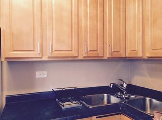 2924 S Princeton Ave APT 2R, Chicago, IL 60616