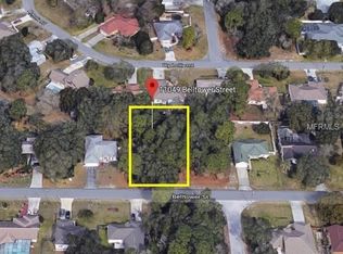 11049 Belltower St, Spring Hill, FL 34608