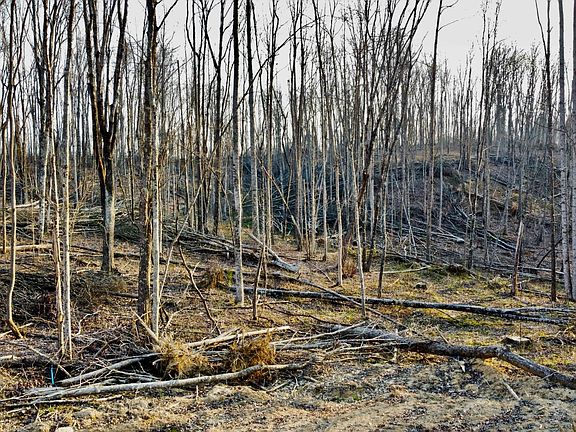 5th image of 9 Mill Creek Rd #26-009.19