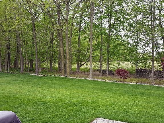 3rd image of 2457 Tulip Blvd