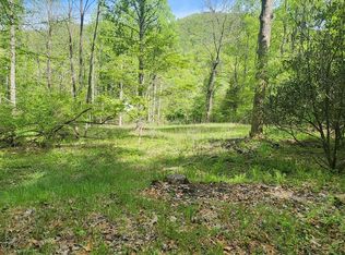 117 Holly Ln, Franklin, NC 28734