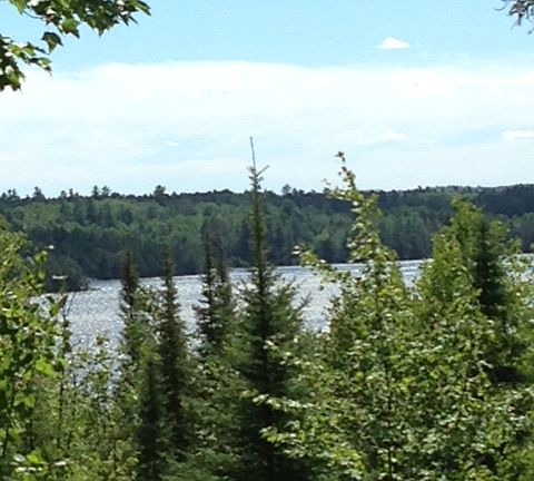 Waterview From House