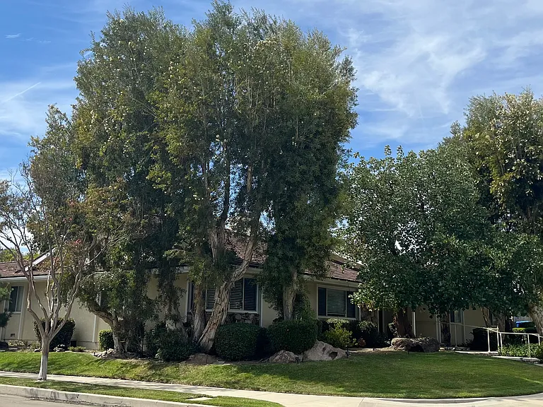 Wystone Ave — Photo 14