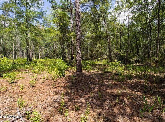 4th image of 4410 LORI LOOP Road