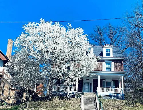3358 Perrysville Ave #1 Photo 1
