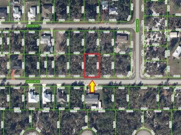 270 Lincoln Rd NE, Lake Placid, FL 33852
