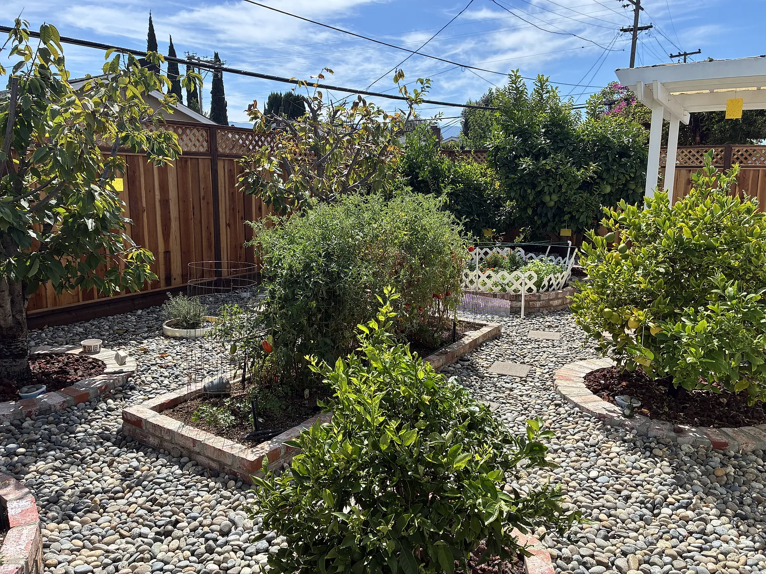1470 Branham Lane - 1 — Photo 2