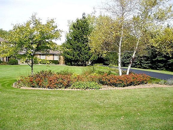 Front Planting View 2