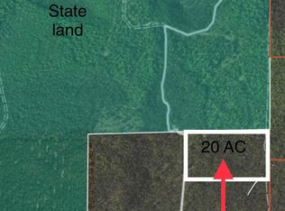 3593 Wilderness Trl, Grayling, MI 49738