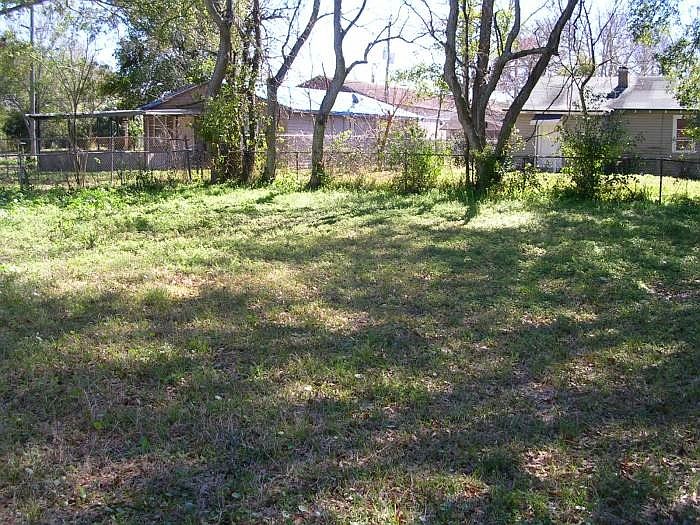 Back yard
