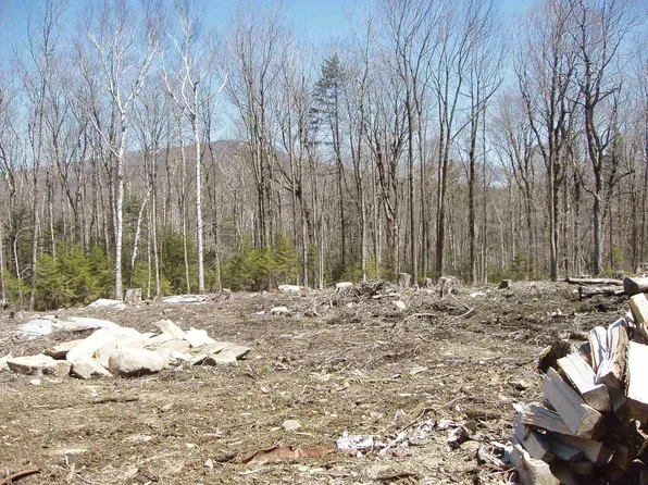 0 Moose Hollow Road #46, Winhall, VT 05340