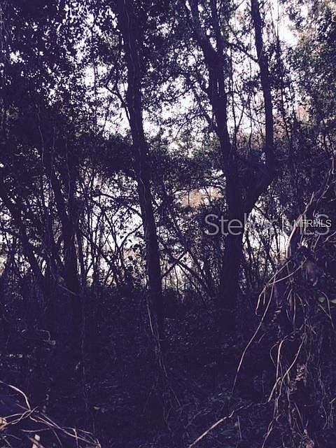 1st image of 527 Oak Ave