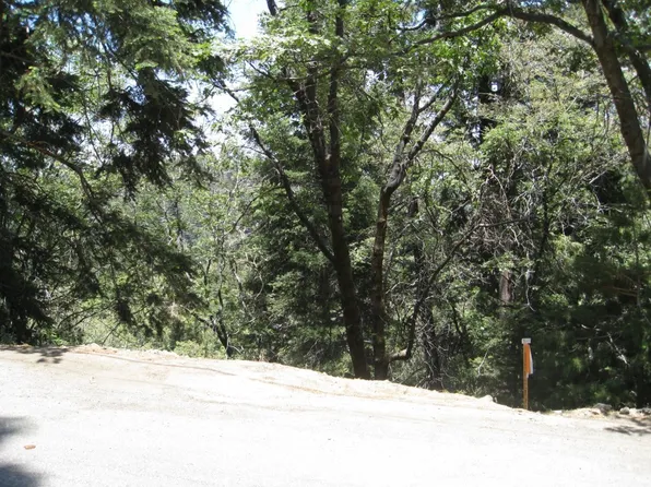 0 Forest Ln #57, Twin Peaks, CA 92391