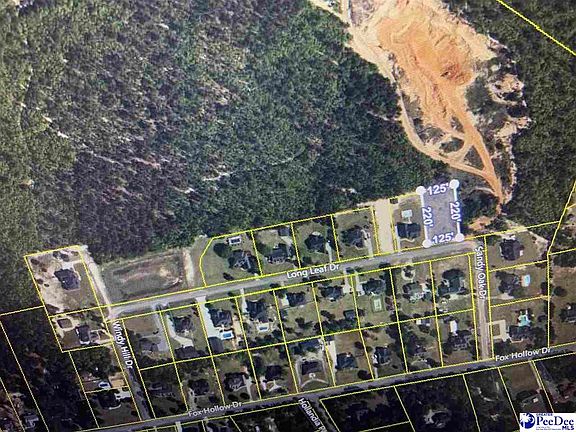 3rd image of 1315 Long Leaf Dr