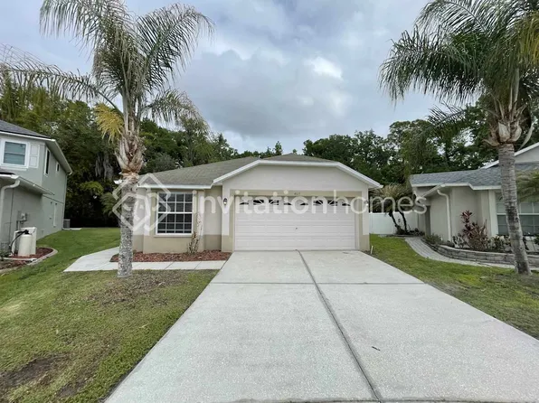 4615 McBrine Ct, Land O Lakes, FL 34639