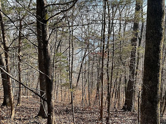 5th image of Rock Springs Rd