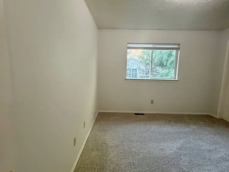 3504 Golden Valley Dr — Photo 33
