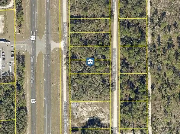 LOT 16 Necklace Warbler Ave Lot 16, Brooksville, FL 34614