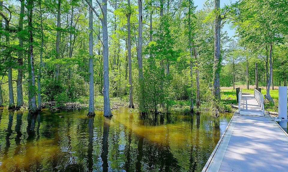 421 Riversound Dr, Edenton, NC 27932 Zillow