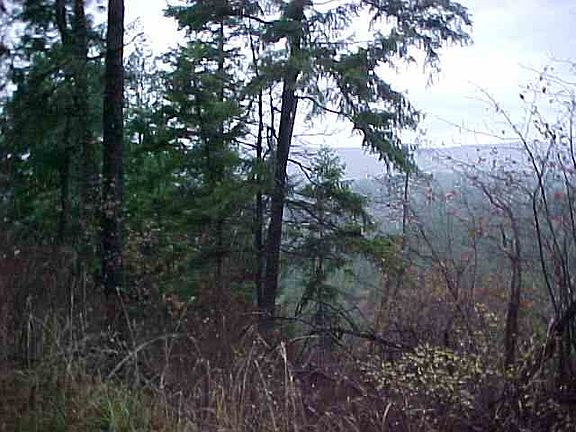 2nd image of 0 Cummings Canyon Way