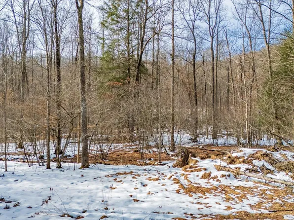 Lots 56&57 Whitewater Pkwy, Bruceton Mills, WV 26525