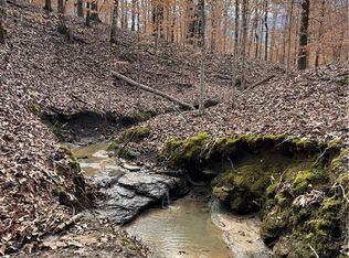 0 Lee Road 345, Salem, AL