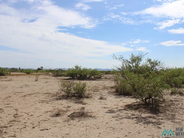 Palo Rd NE, Deming, NM 88030