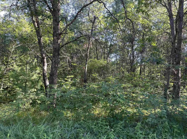 Parcel#1300440D Lynn Hill Road, Nekoosa, WI 54457
