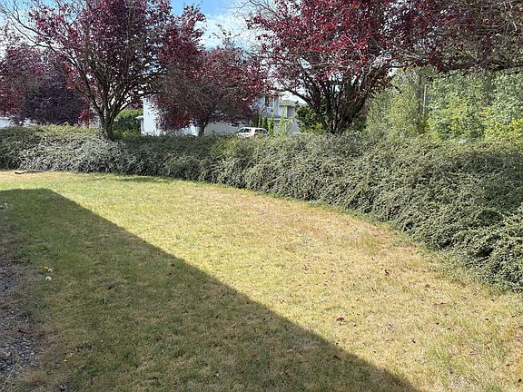 Private side yard