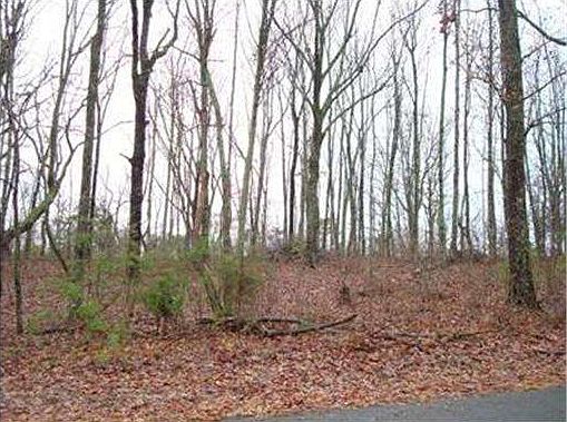 5th image of 9104 Terrace Falls Dr
