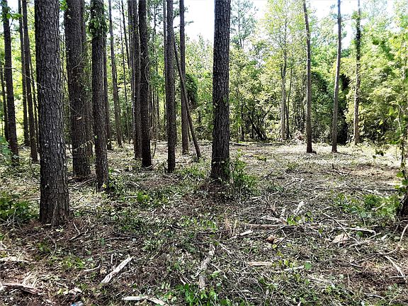 4th image of Lot 3 Rivenbark Road LOT 3