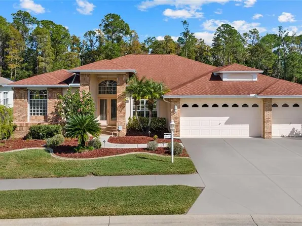 1547 WINDING WILLOW DRIVE, TRINITY, FL 34655