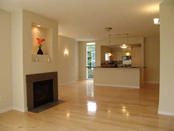 Fireplace/dinning room