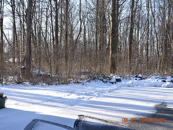 View of 2 acre property towards backyard