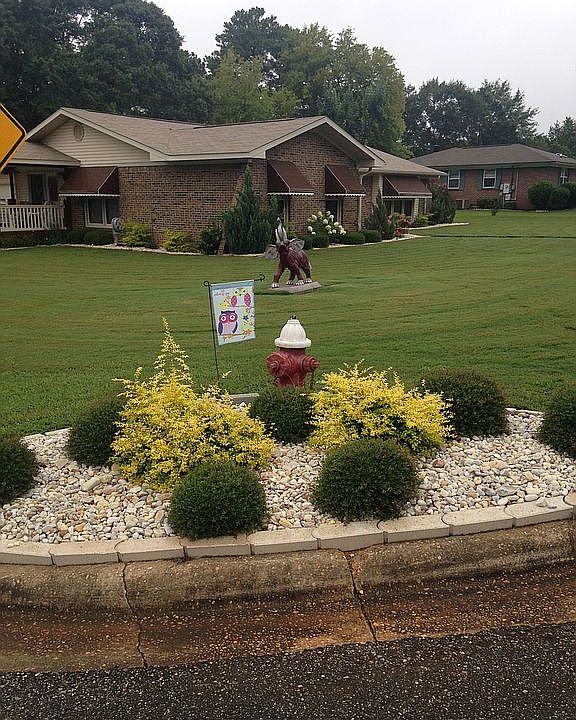 2nd image of 101 Chewalla Dr