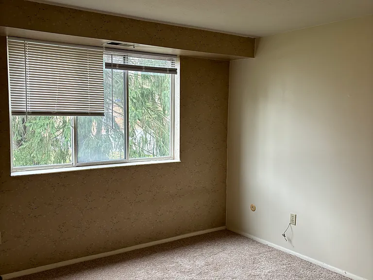 27619 Evergreen Run — Photo 7