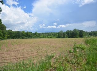 11870 Case Rd, Bellevue, MI 49021