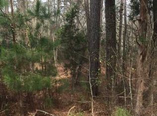 1034 Old Bush River Rd, Chapin, SC 29036