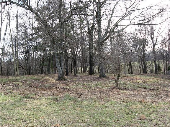 5th image of Big Island Hwy Lot 1