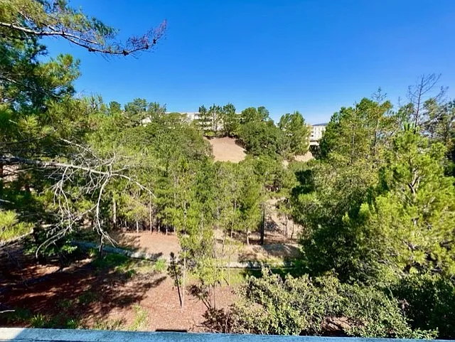 37 Creekridge Ct — Photo 25